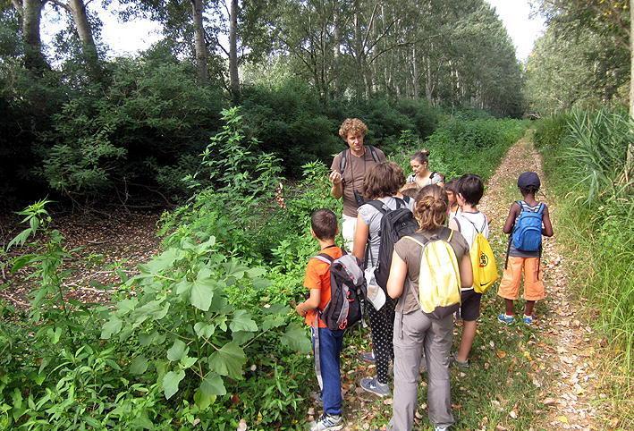 Quattro proposte per i centri estivi da vivere all’aperto