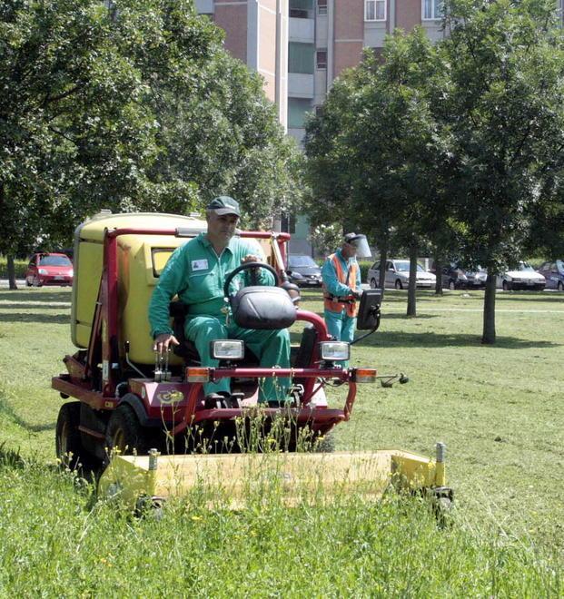 Sfalci e alberi da sanare In arrivo 2,6 milioni per il verde pubblico 