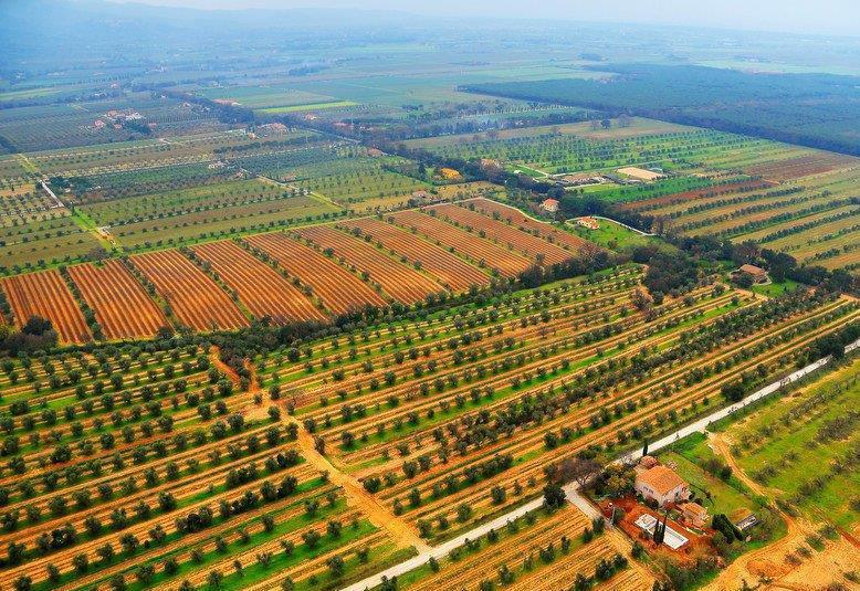 Un corso quasi gratis per lavorare nell’enoturismo 
