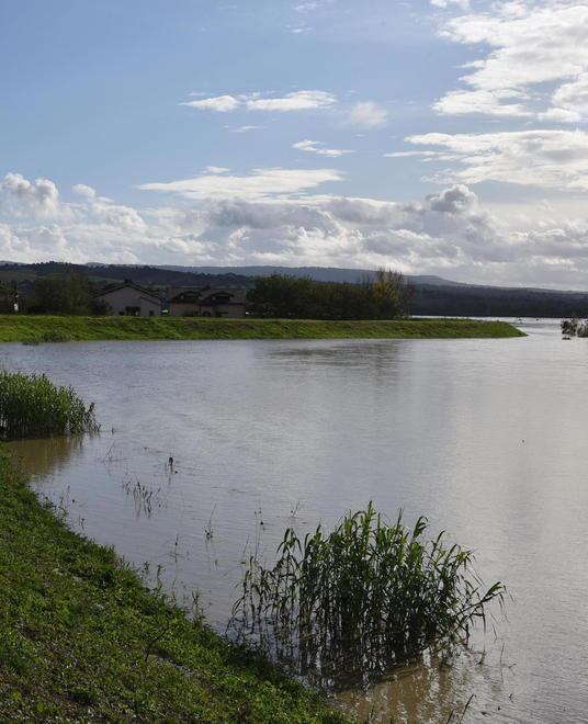 Metalli in acqua, Ombrone ok Problemi per Bruna e Pecora 