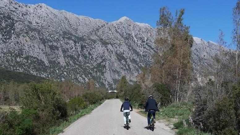 Rovi, sterpaglie ed erba secca: entro il 31 maggio la pulizia di tutti i terreni