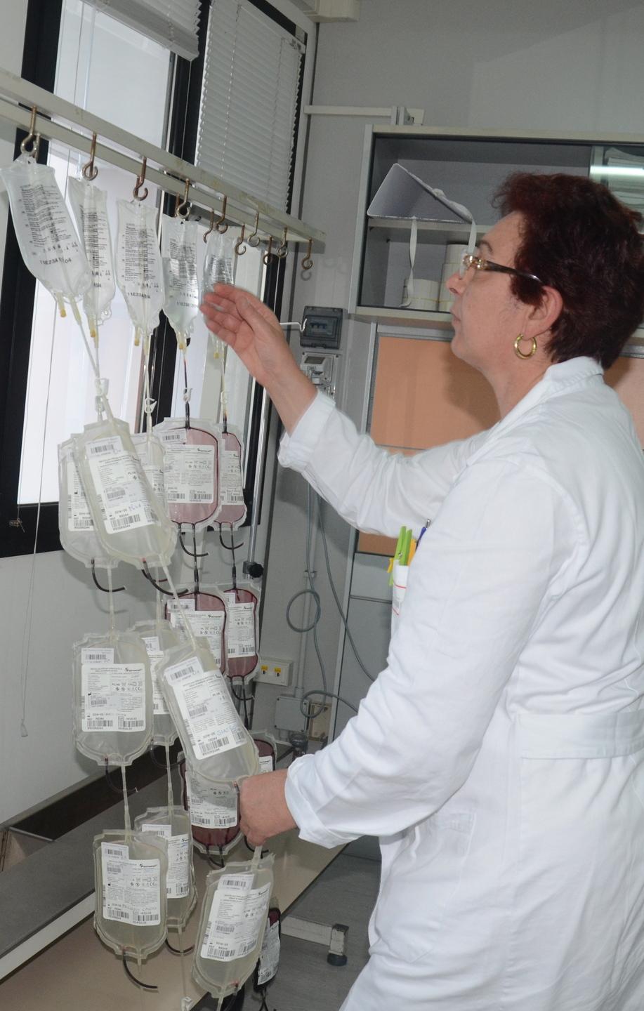 «Venite a donare sangue, sarete al sicuro» 