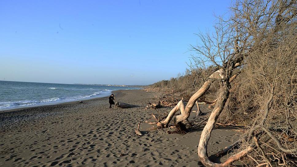 Cecina, ecco il piano del Comune per le spiagge libere