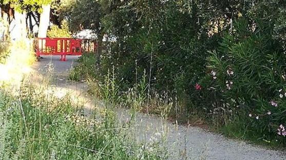 Erba alta sulla ciclabile «Così è vergognoso»