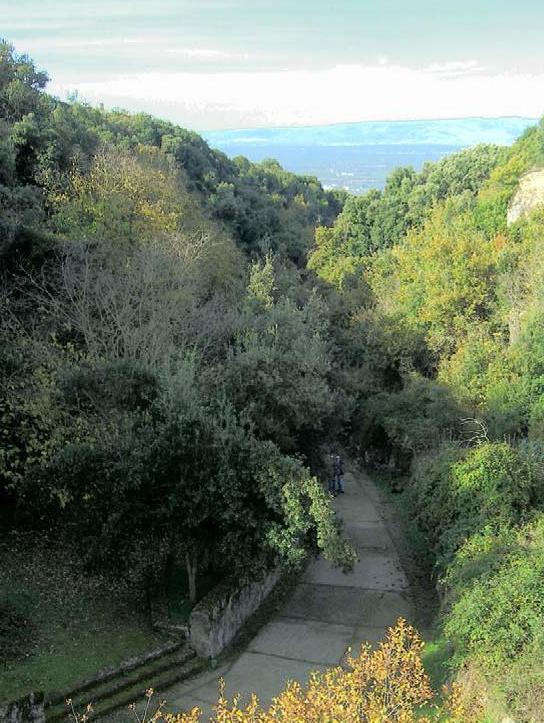 Patto biennale tra Comune e Forestas 