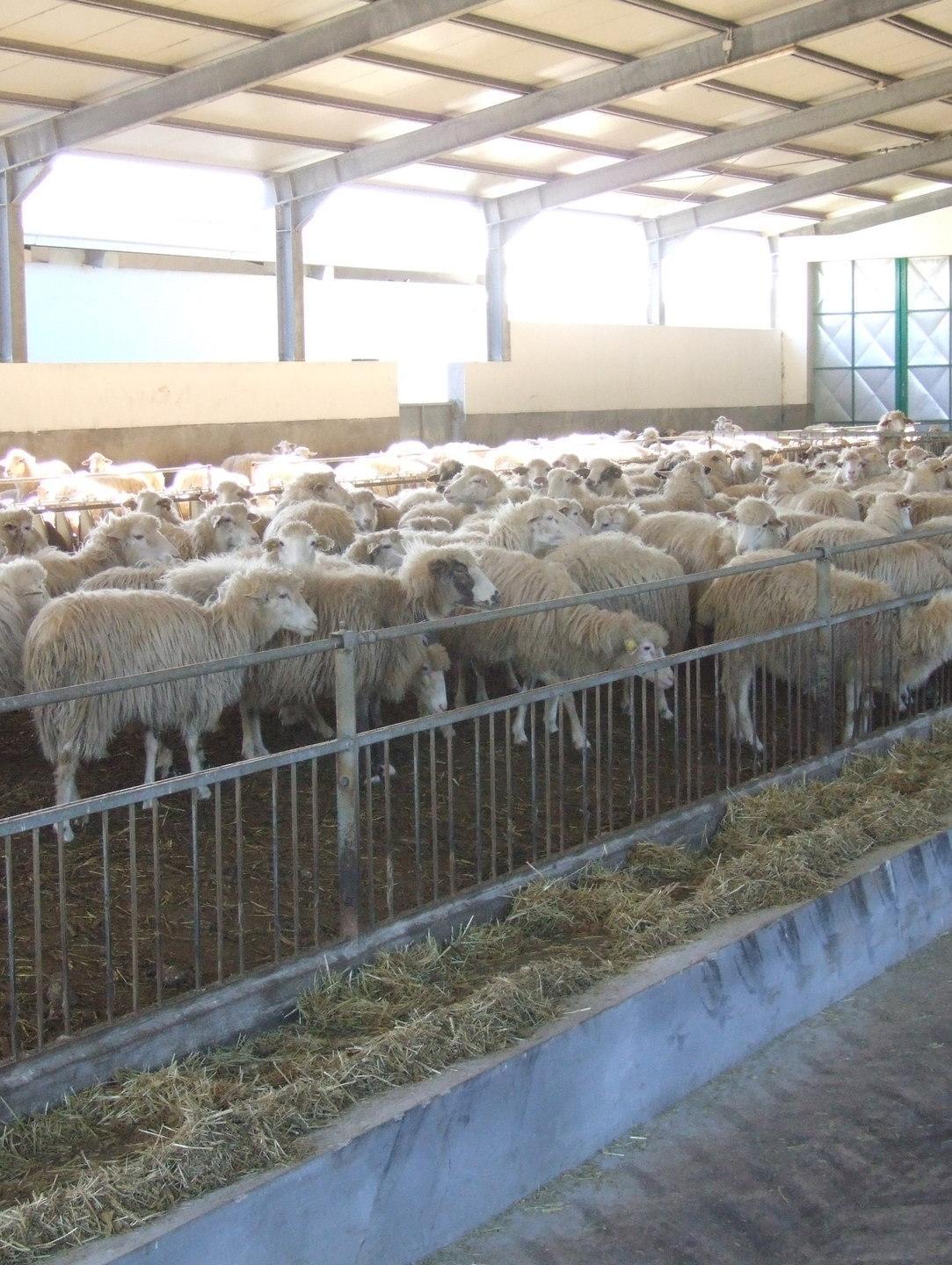 Aziende beneficiarie di fondi, la Regione li ferma 