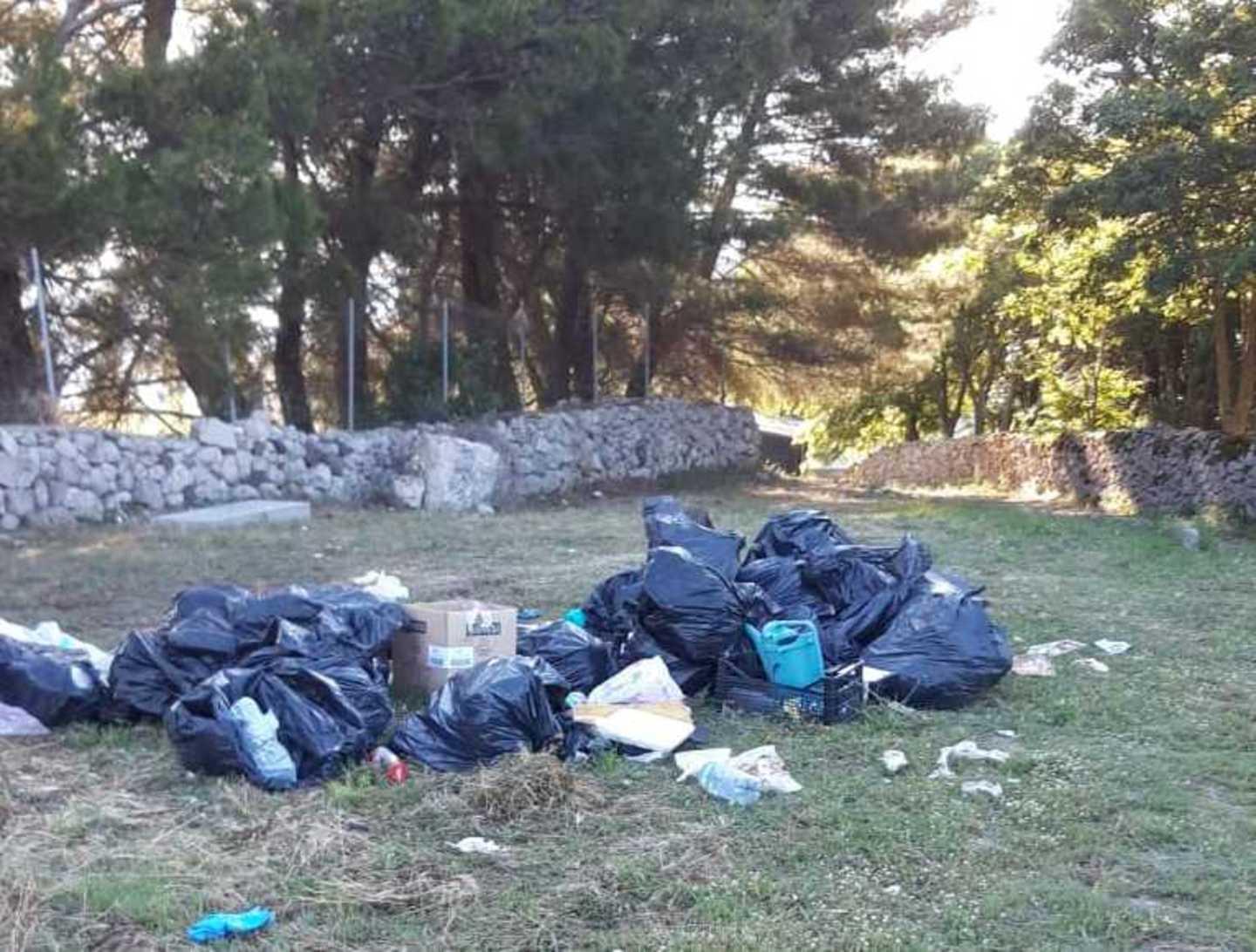 Un boschetto usato come discarica 