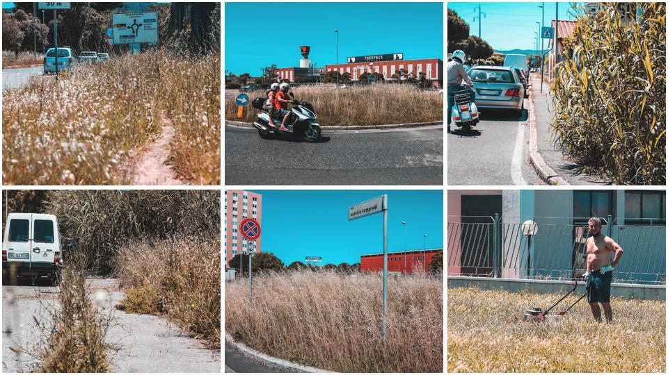 Erba alta a lato della carreggiata: qui siamo nella zona della Leccia: le foto sono state scattate tra lunedì e martedì, Porta a Terra: nella rotonda si vede la vegetazione “selvaggia”, Zona Picchianti: le piante hanno invaso il marciapiede, alla Leccia l’erba è diventata padrona della strada, a Porta a Terra ci sono cartelli quasi inghiottiti dalla vegetazione e c’è chi decide di tagliare da solo il verde pubblico (foto Marzi)