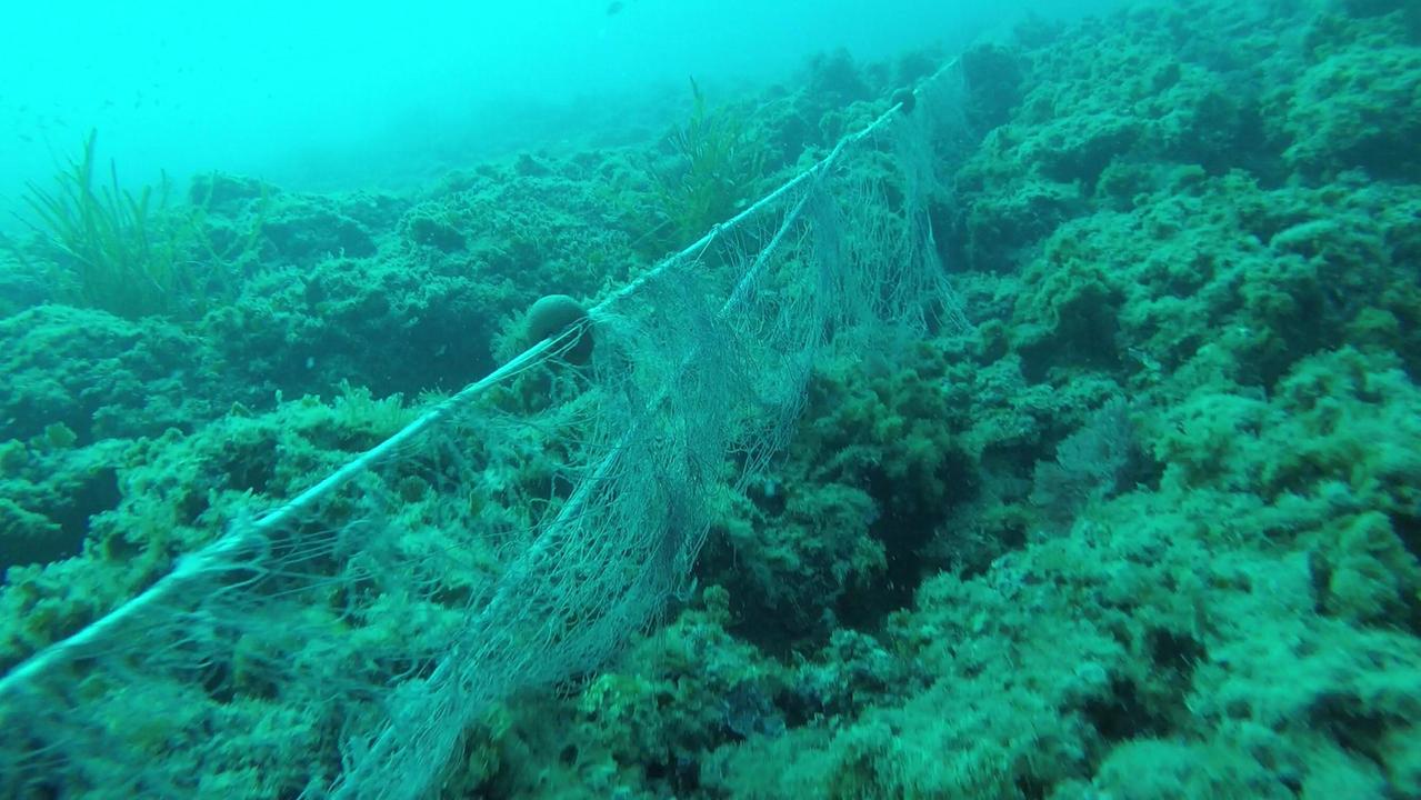 Le reti da pesca che inquinano il mare di Calafuria: la Guardia costiera le ha rimosse scongiurando gravi danni all'ecosistema