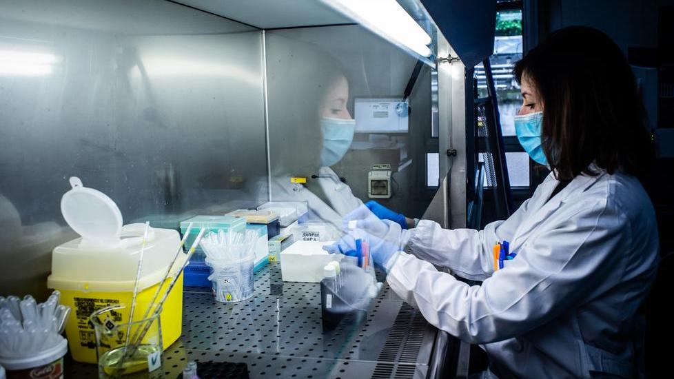 Un laboratorio in cui si prepara il test sierologico (foto d'archivio)