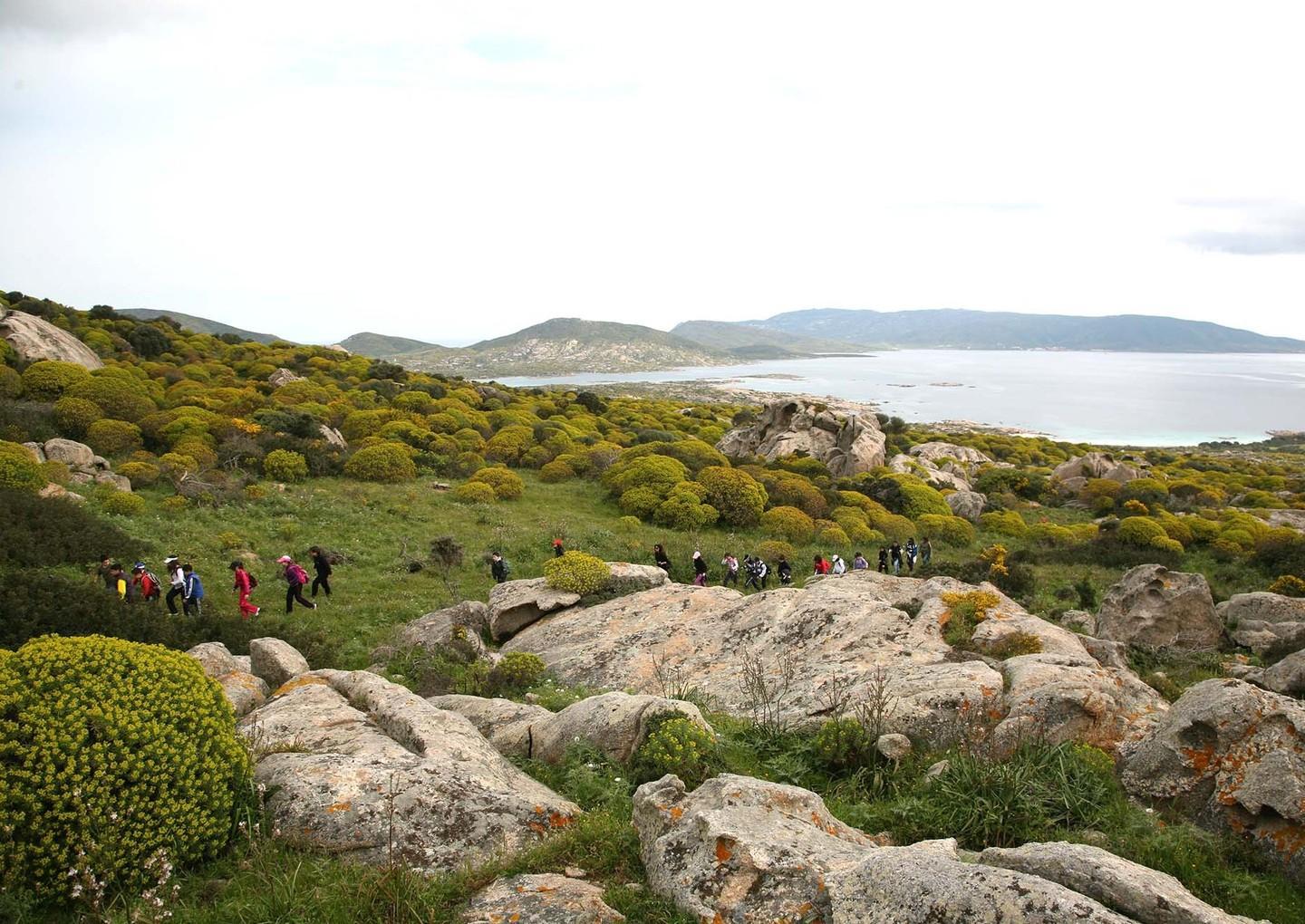 «Asinara, porta europea del turismo» 