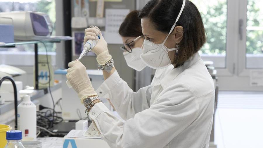 Modena «Test a farmacisti e donatori di sangue» E Muzzarelli chiede fondi