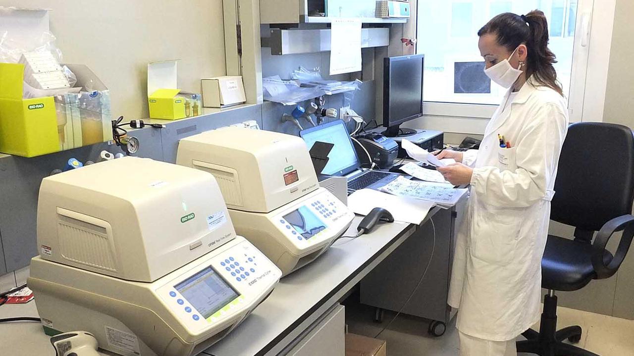 Coronavirus, in Toscana epidemia verso l'esaurimento anche dopo le riaperture