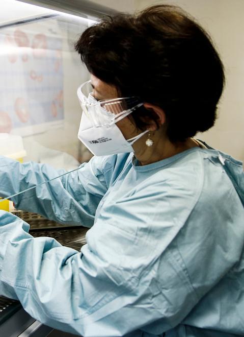 Sono oltre 3.100