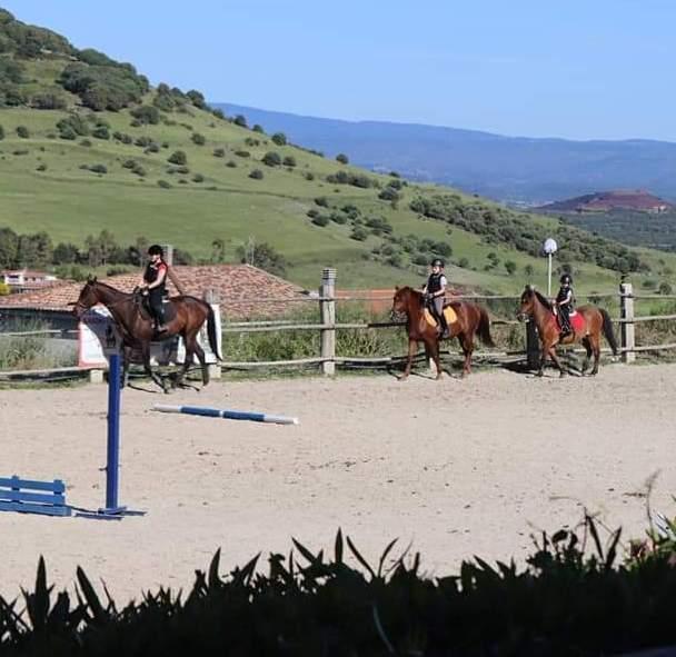 I Cheyenne ritornano in attività 