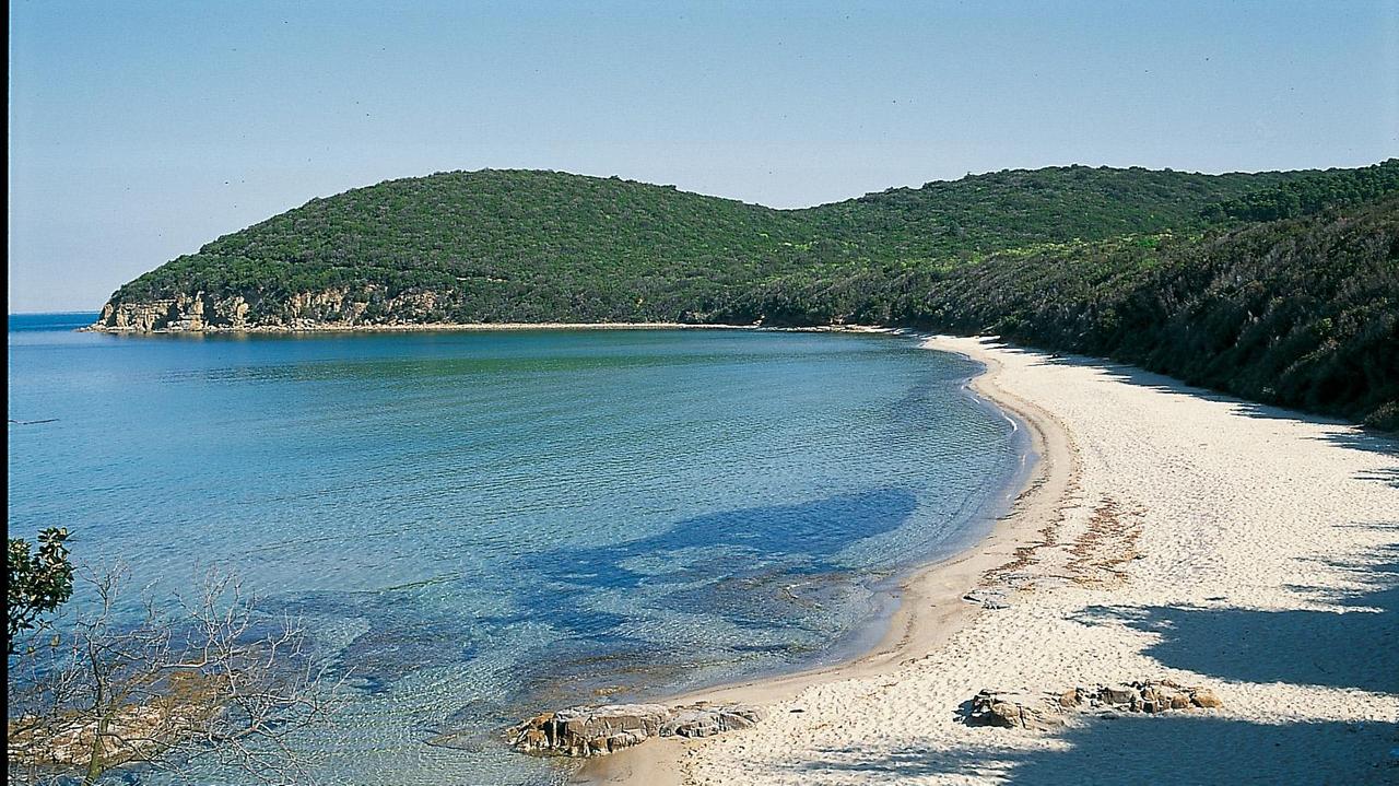 Cala Violina supersorvegliata: quanti bagnanti ammessi al giorno e i tipi di controlli