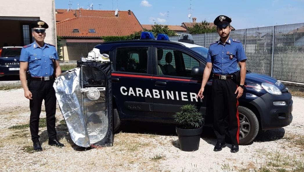 Una serra per marijuana in casa a Lagosanto: arrestati dai carabinieri