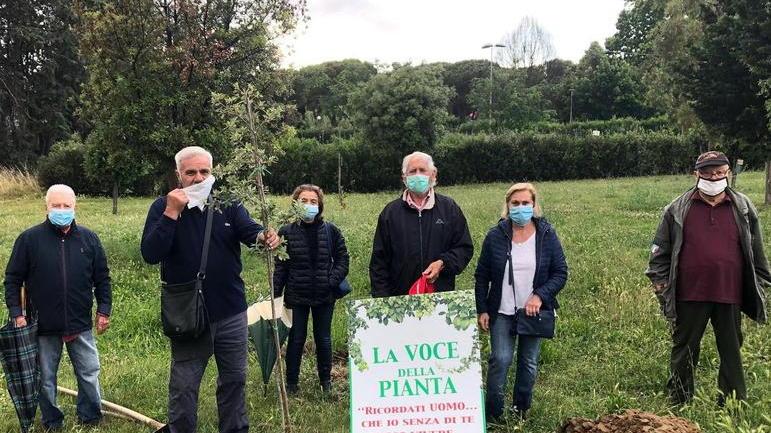Italia Nostra e Paolo Buti piantano un leccio