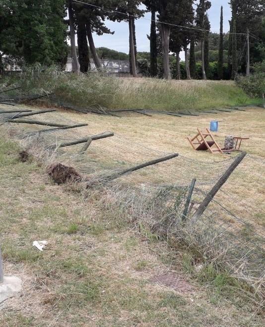 L’area di sgambatura dei cani semidistrutta dai vandali 