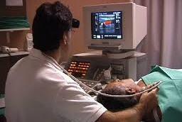 «La magistratura salvi i malati» 