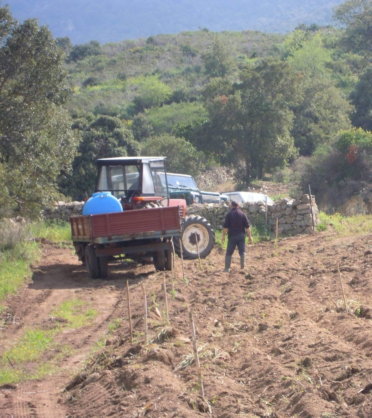 L’agenzia Laore si fa in due sede a Orosei e a Dorgali 