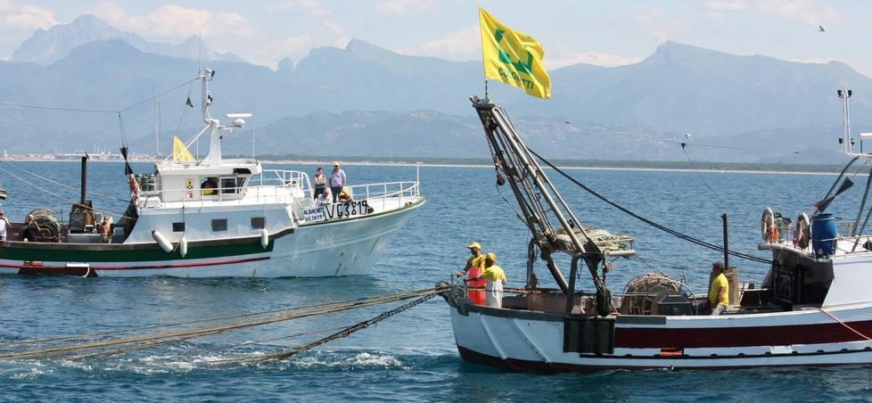 Crolla il consumo del pesce per i ristoranti ancora vuoti 