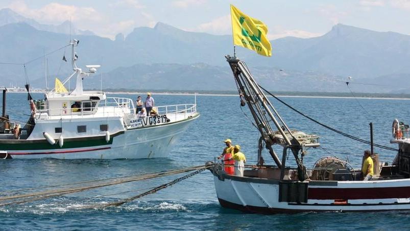 Crolla il consumo del pesce per i ristoranti ancora vuoti