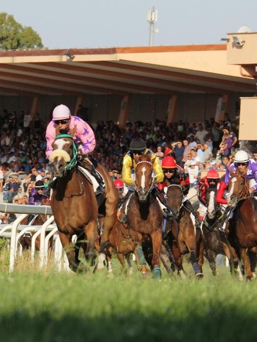 Stagione ippica: debutto a porte chiuse 