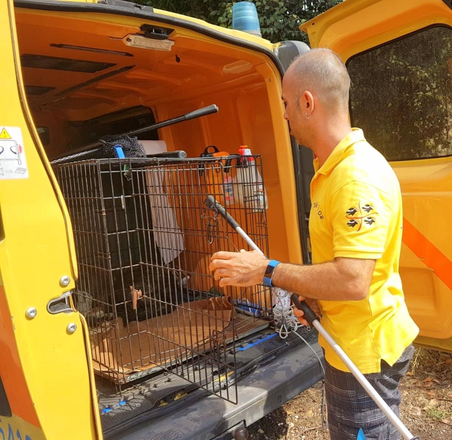 L’Ats: «Presto saldiamo il Taxi Dog» 