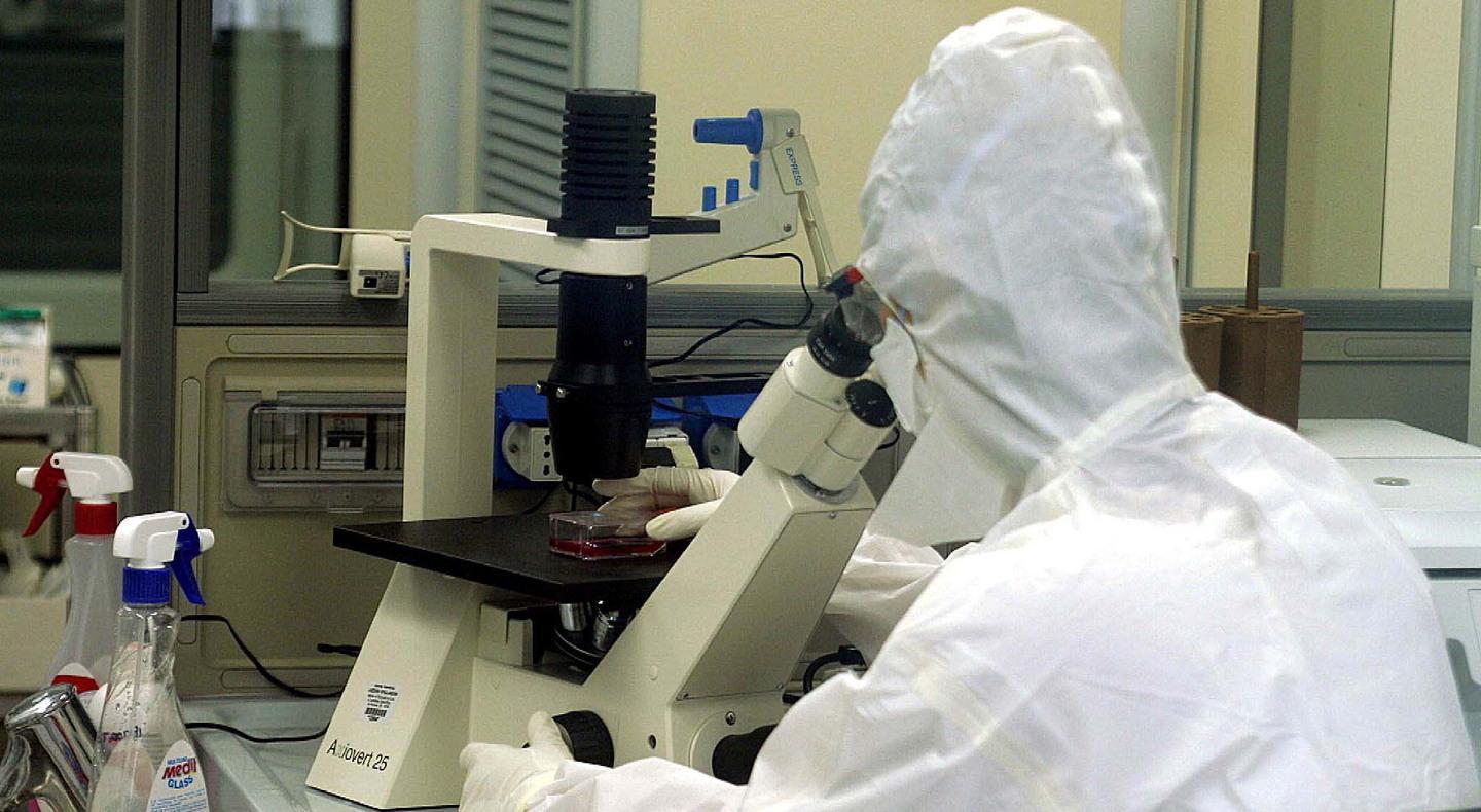 I dati dei donatori di Dna da Londra a Perdasdefogu 