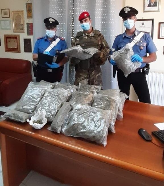 Droga nell’orto: arrestato il figlio del sindaco 