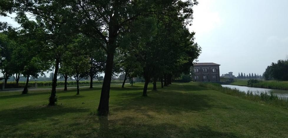 Parco “fai da te” in via Boschi con prato rasato e panchine 