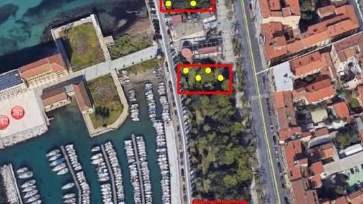 Al via un intervento anti-ratti per tre mesi sul viale Italia