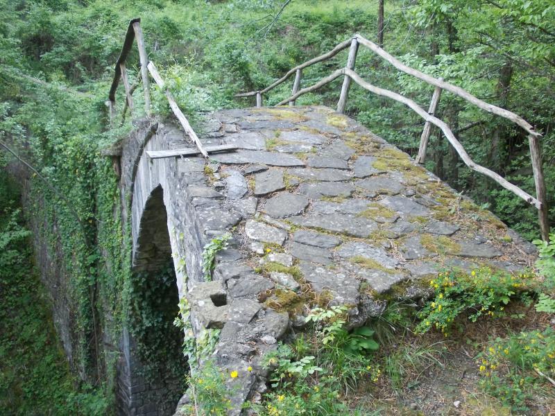 Fino a Rio Becco: fuori dalla folla e dentro la natura 