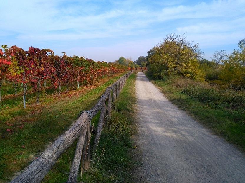 Natura e silenzio: in bici o a piedi lungo il Tiepido