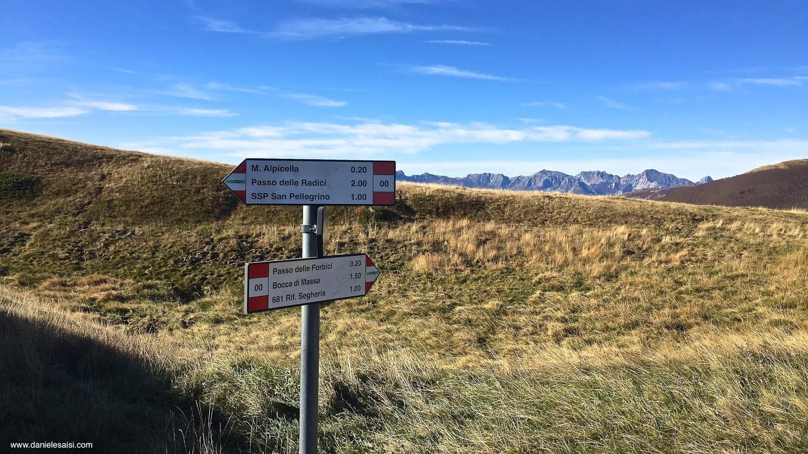 Da San Pellegrino, immersi tra mirtilli e splendidi paesaggi