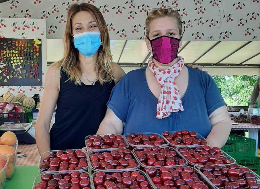 Vignola: Sonia, Daniela e Ursula le custodi delle ciliegie 