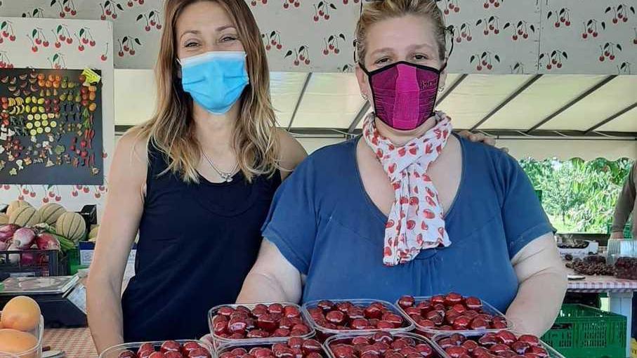 Vignola: Sonia, Daniela e Ursula le custodi delle ciliegie