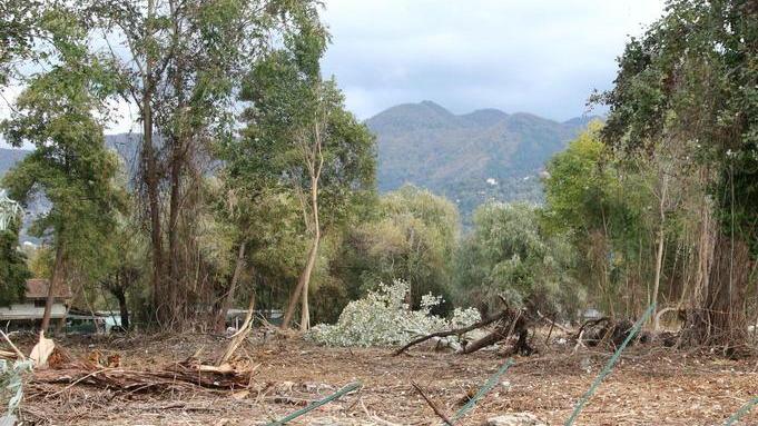 Ghiselli: «Ecco l’utilità del parcheggio in via Vico»