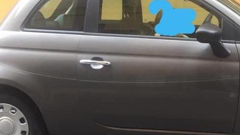 In centro trova l’auto danneggiata da ignoti
