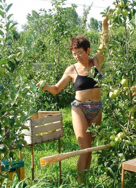 In arrivo operai