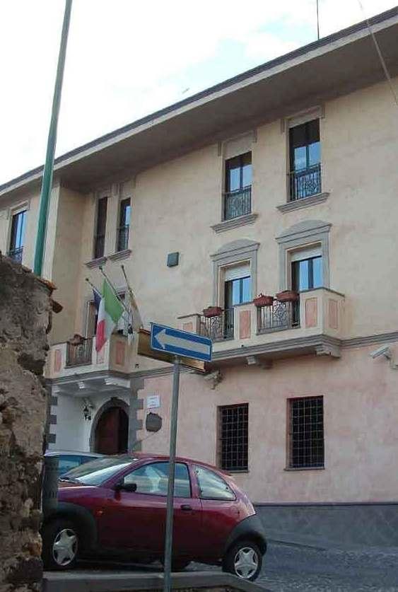 Il Comune istituisce il volontariato civico