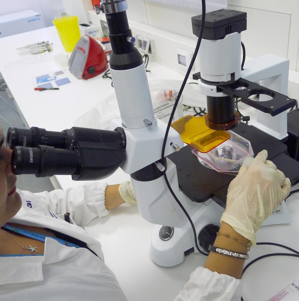 La lotta al Coronavirus: ecco i 12 progetti avviati dai ricercatori dell'Università di Modena