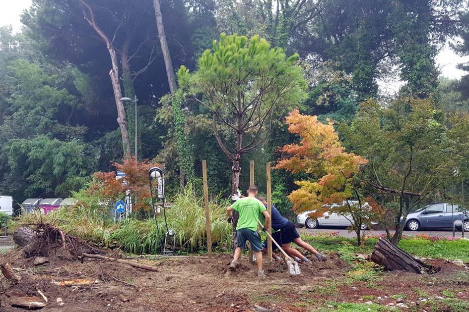 Ferrara, dalla Regione 154mila euro per piantare alberi