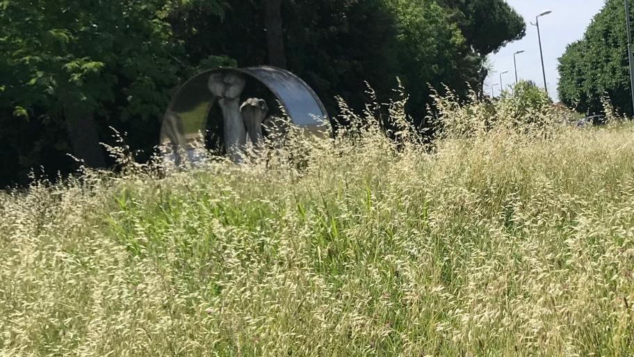 “Pugni” sommersi nell’erba