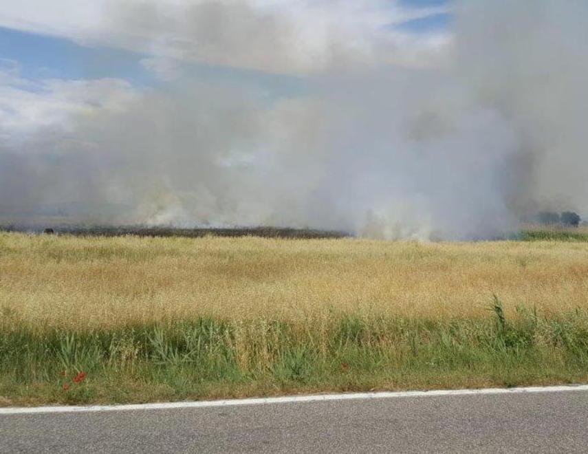 Scoppia l’incendio dietro al Tombolo Bruciate sterpaglie