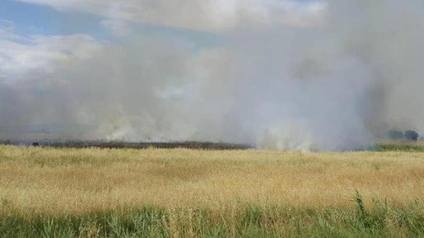 Scoppia l’incendio dietro al Tombolo Bruciate sterpaglie
