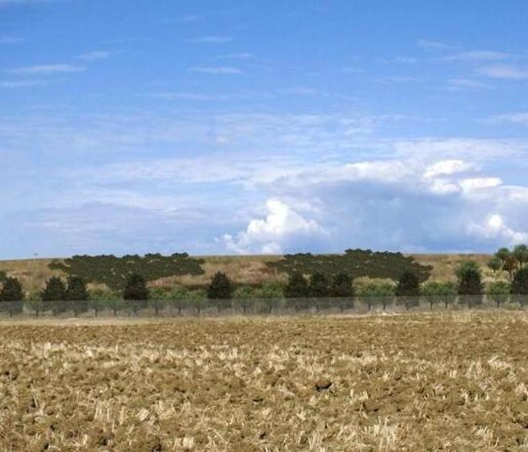 «La Grillaia? Nessuno ricorda il Tiro a Segno» 