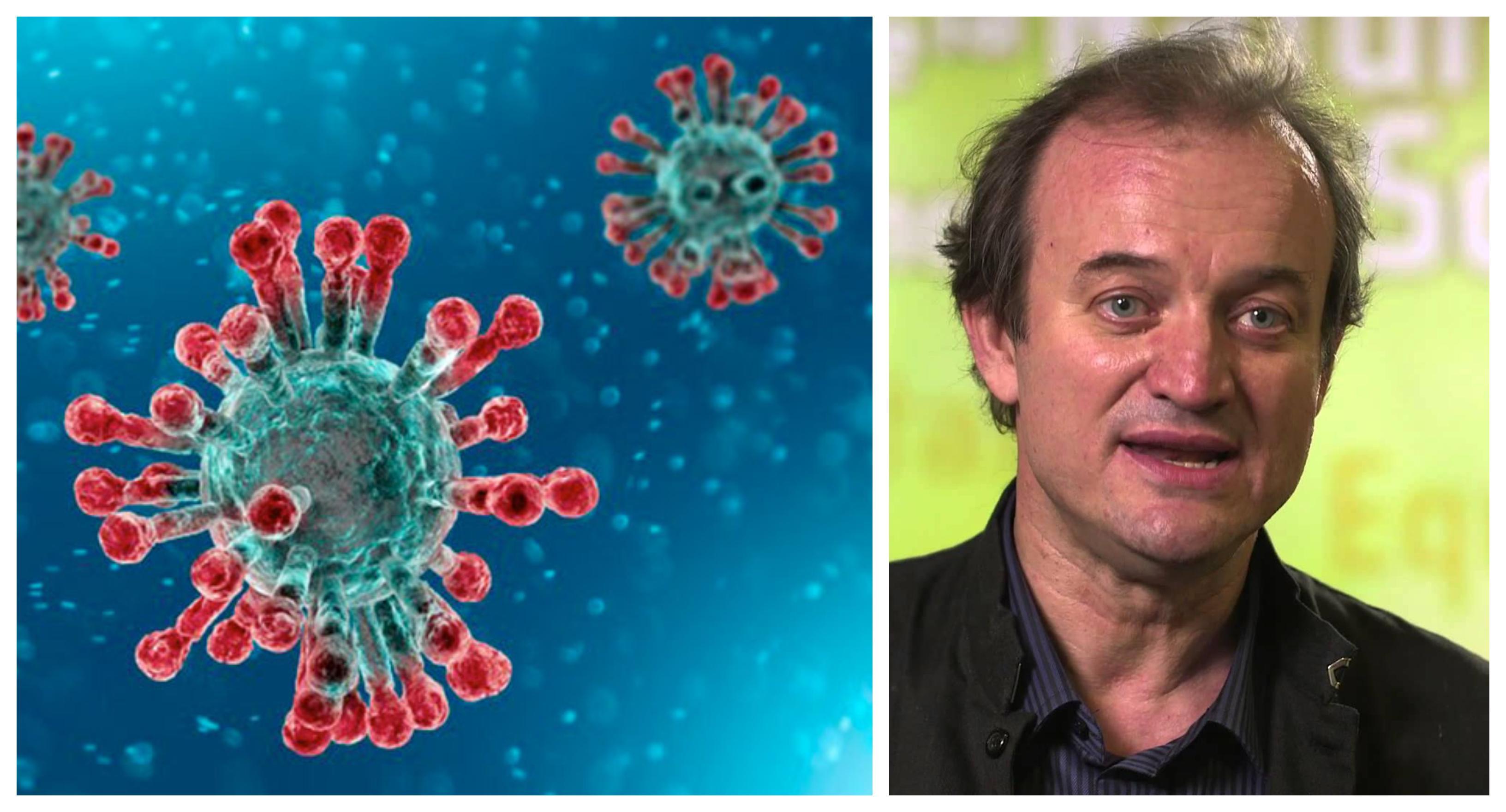 La struttura del Sars-CoV-2 e il professor Duccio Cavalieri, microbiologo dell'Università di Firenze