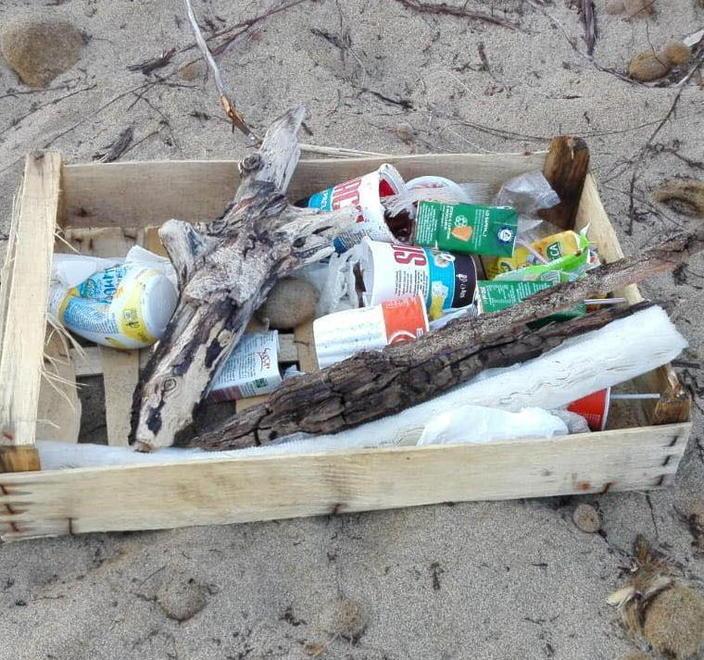 Pattugliamenti per le tartarughe raccogliendo la spazzatura